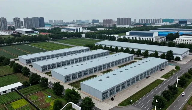 区域市场供应链选型中的关键考量因素分析